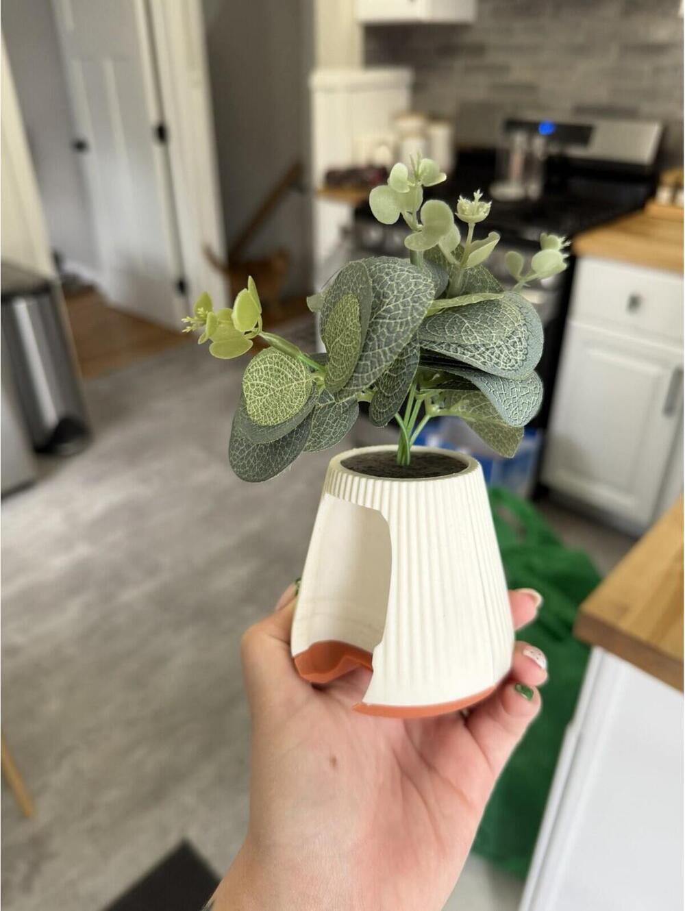 Succulent Plant Hand Sanitizer Pocketbac Bath and Body Works Case Holder